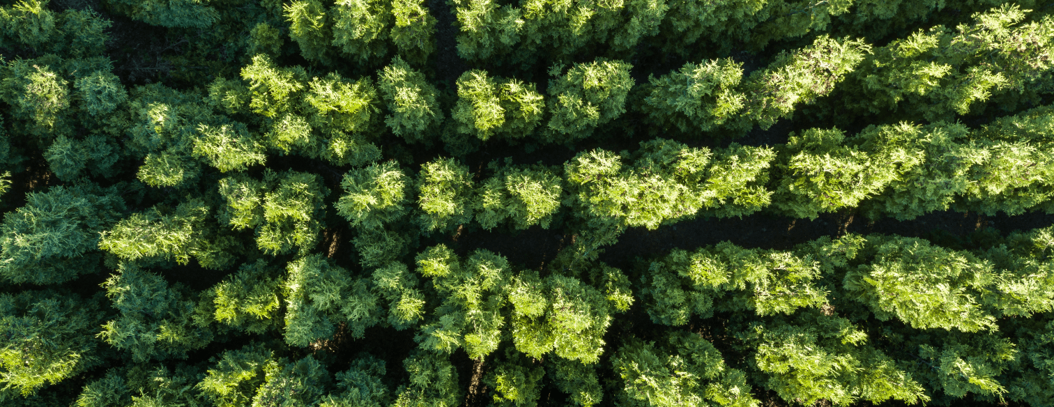 image-strip-sustainability