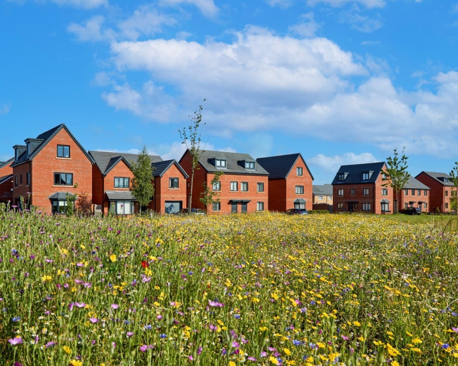 Canterbury Park development—row of red-brick houses behind a wildflower meadow under a bright blue sky.